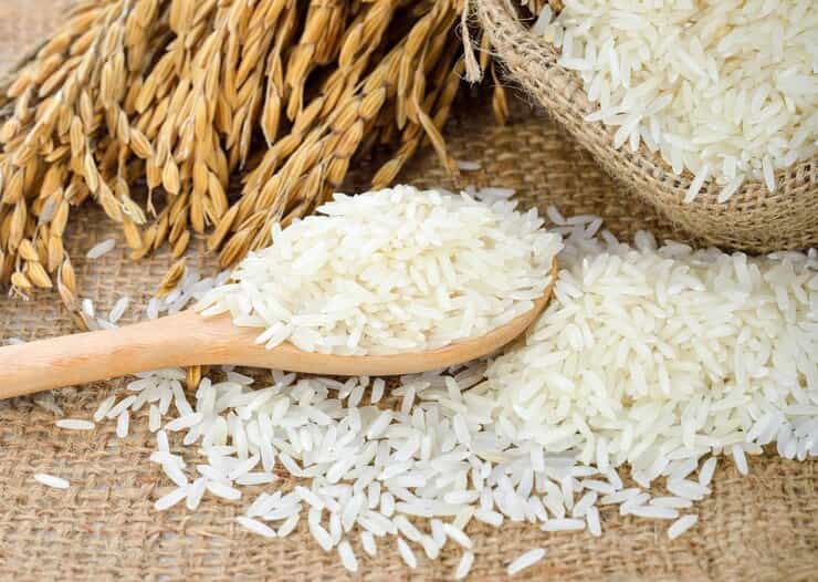 تصویر 1 از قیمت خرید برنج مرغوب ایرانی  با فروش عمده